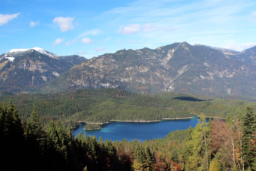 green trees near lake under blue sky during daytime