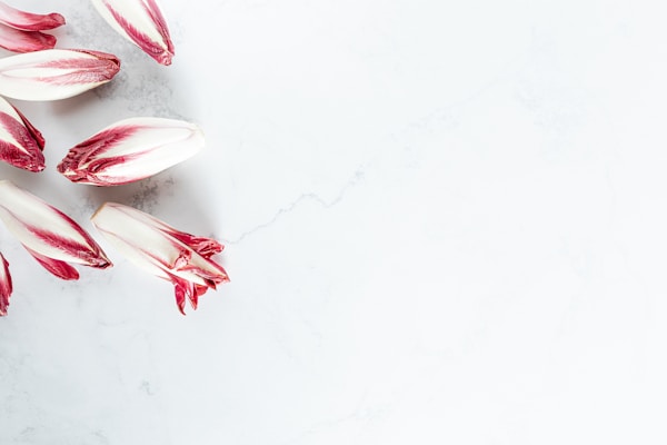 White and red candy cane