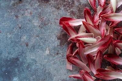 red and white flower petals on gray concrete floor ate teams background