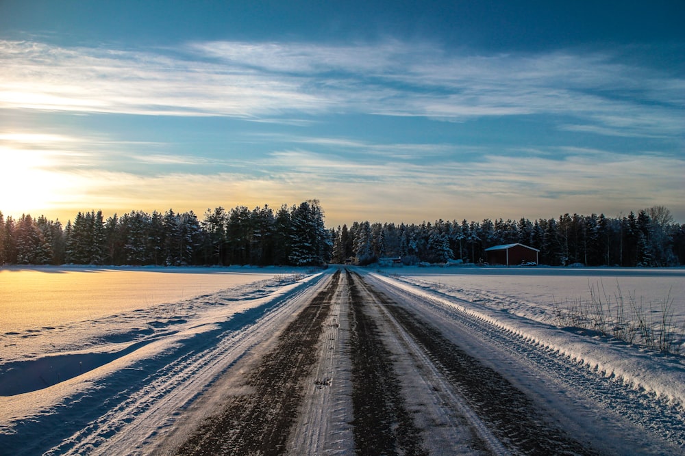 snow covered road during daytime