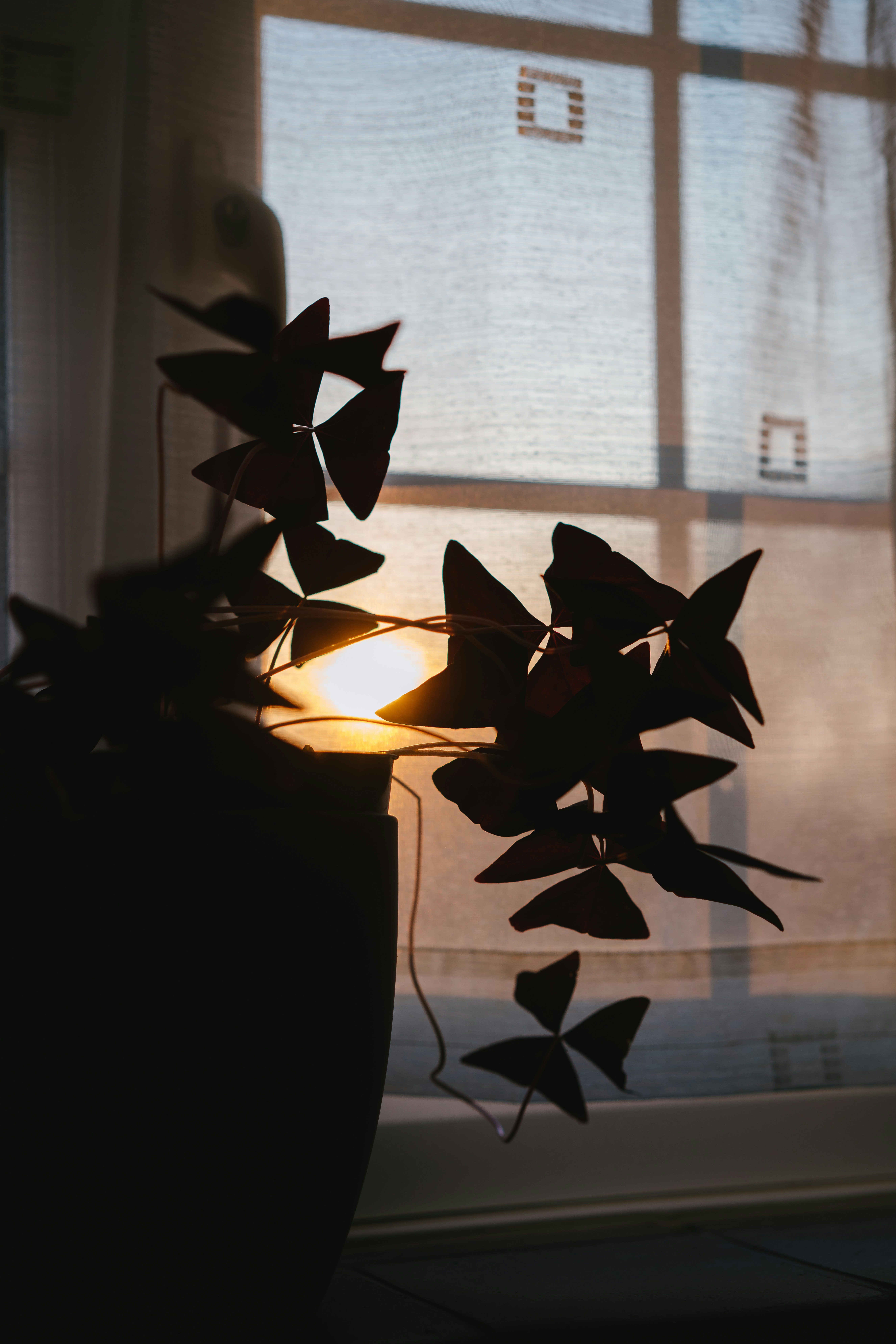 Photo by philhearing