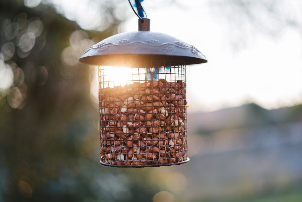 brown and white pendant lamp