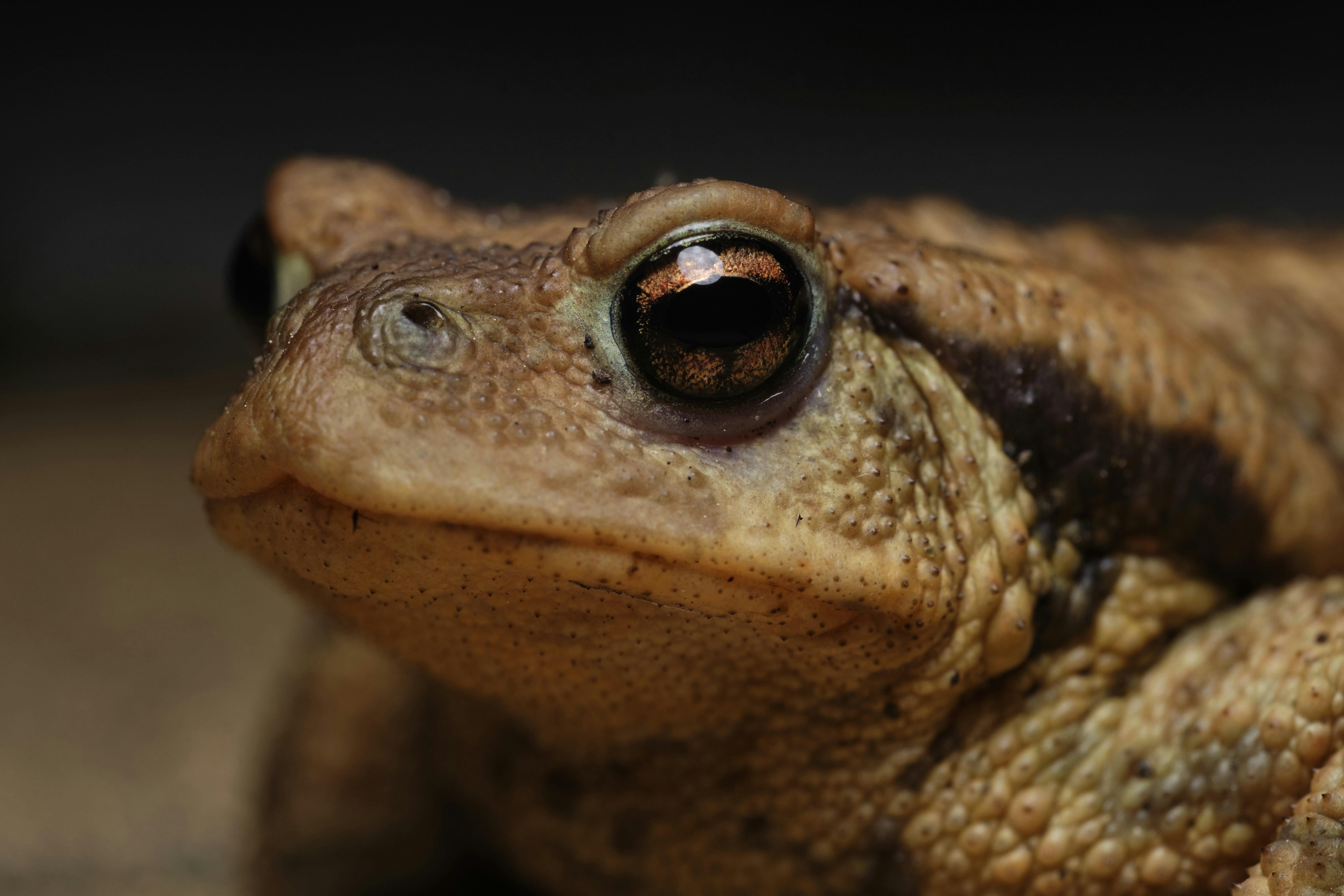 Photo by victor_vector