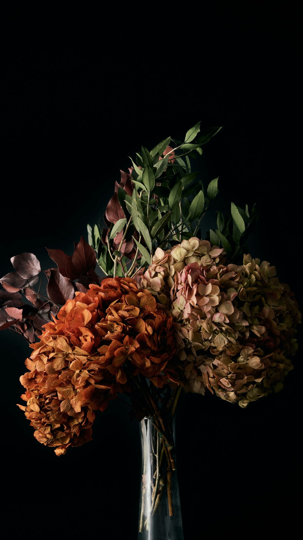 orange and white flower bouquet