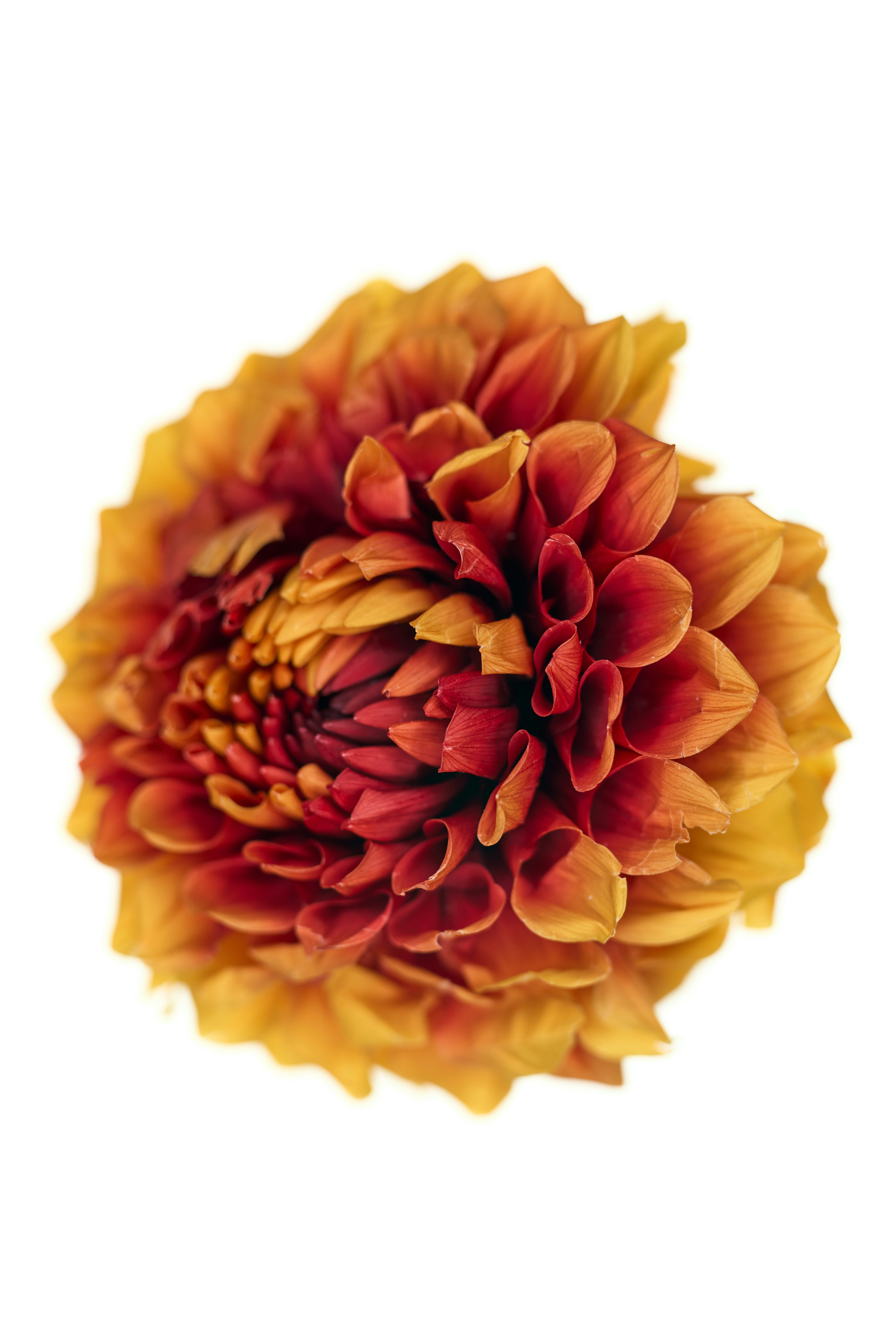 Photo by albertobobbera