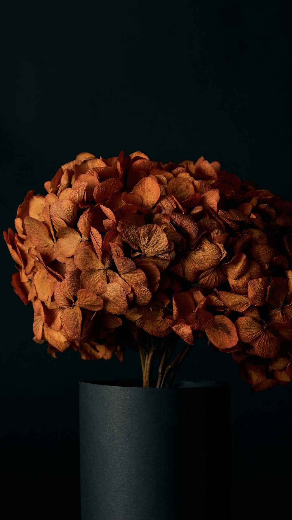brown flower in black vase