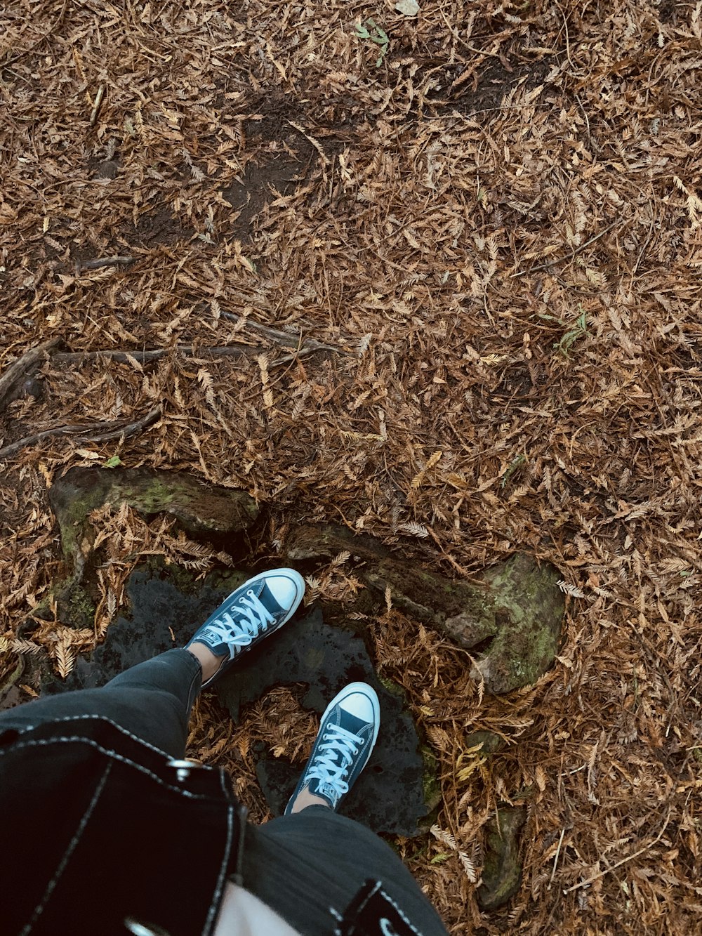 person wearing blue and white sneakers