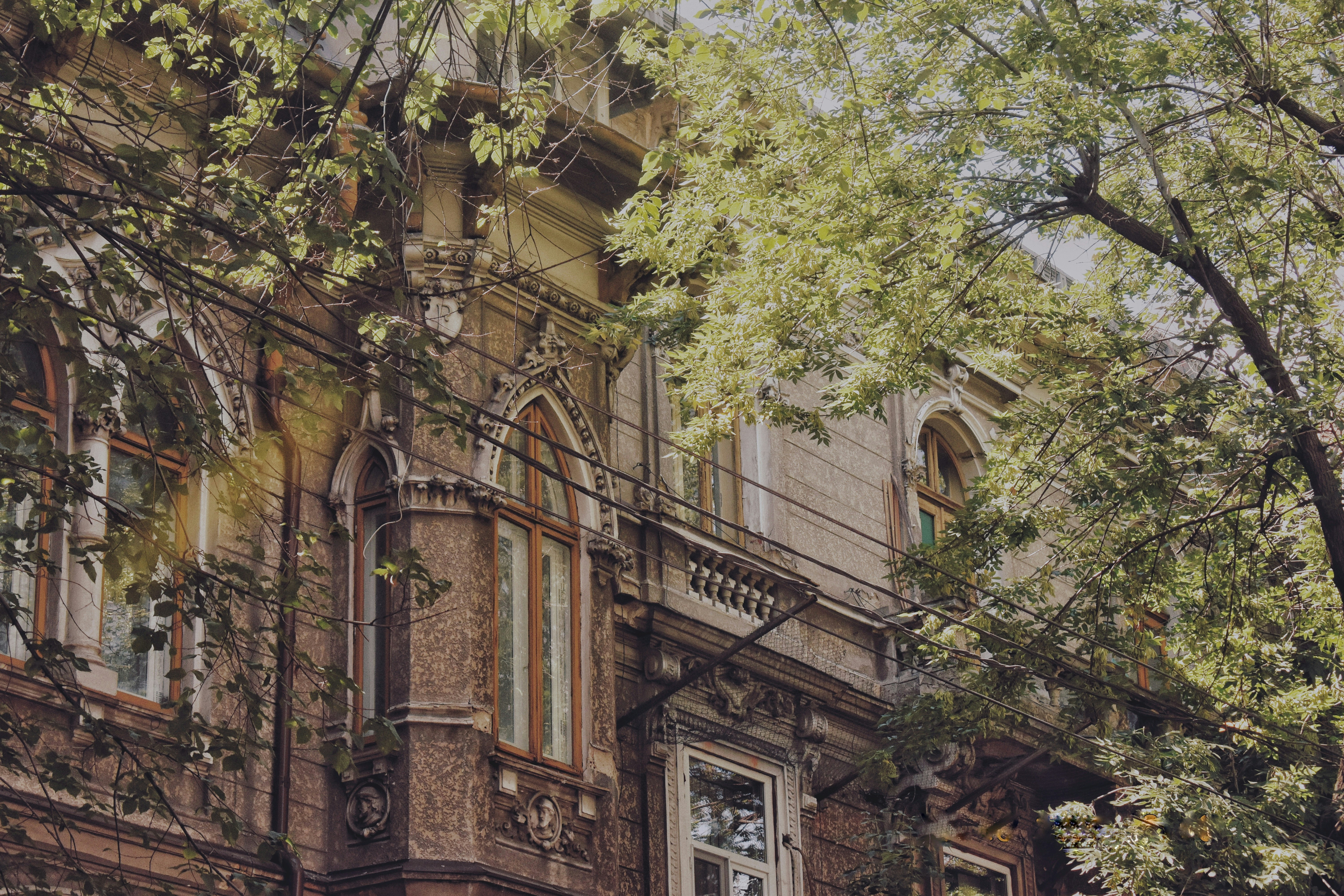 Photo by bianncapatrascu