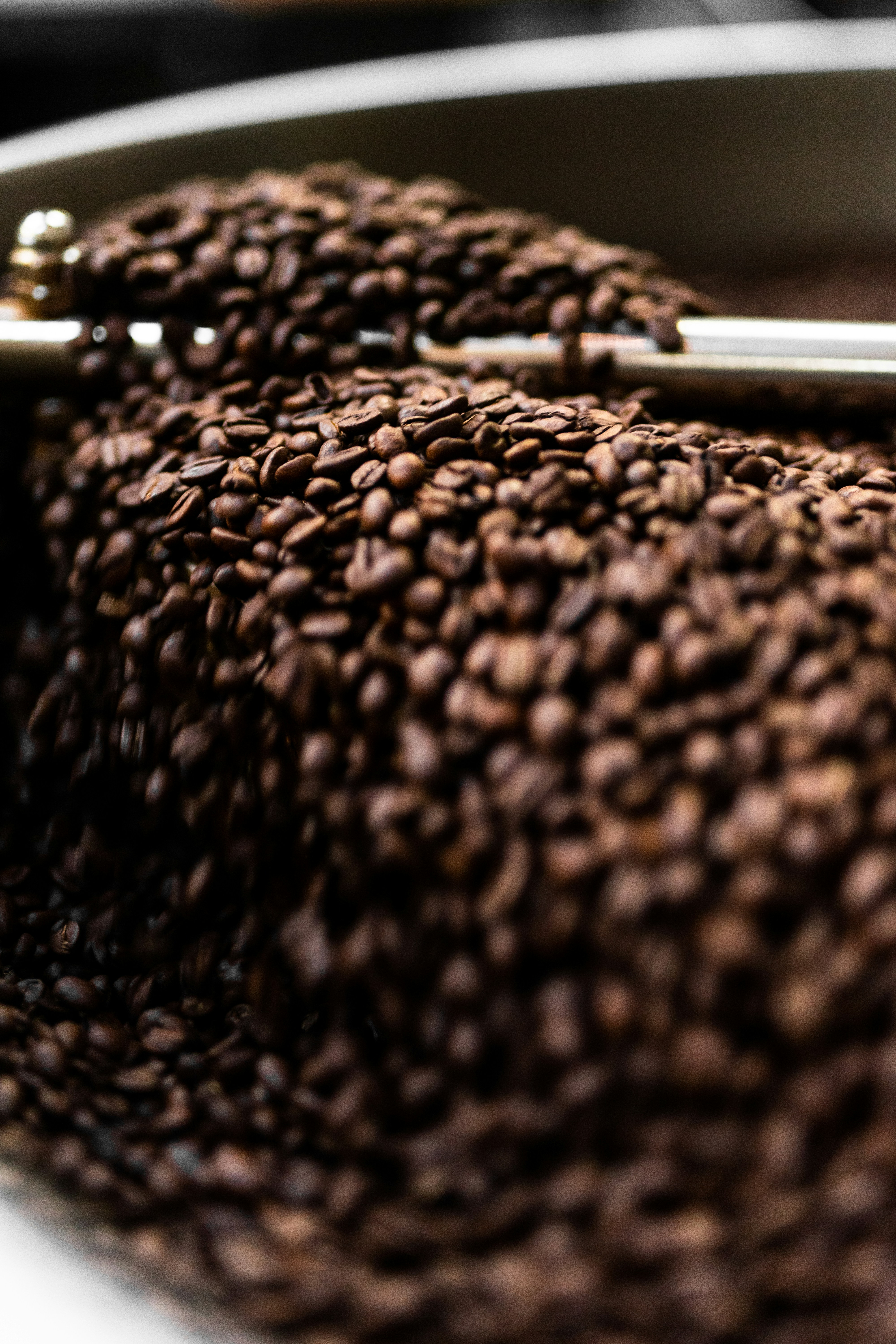 brown and black leopard textile