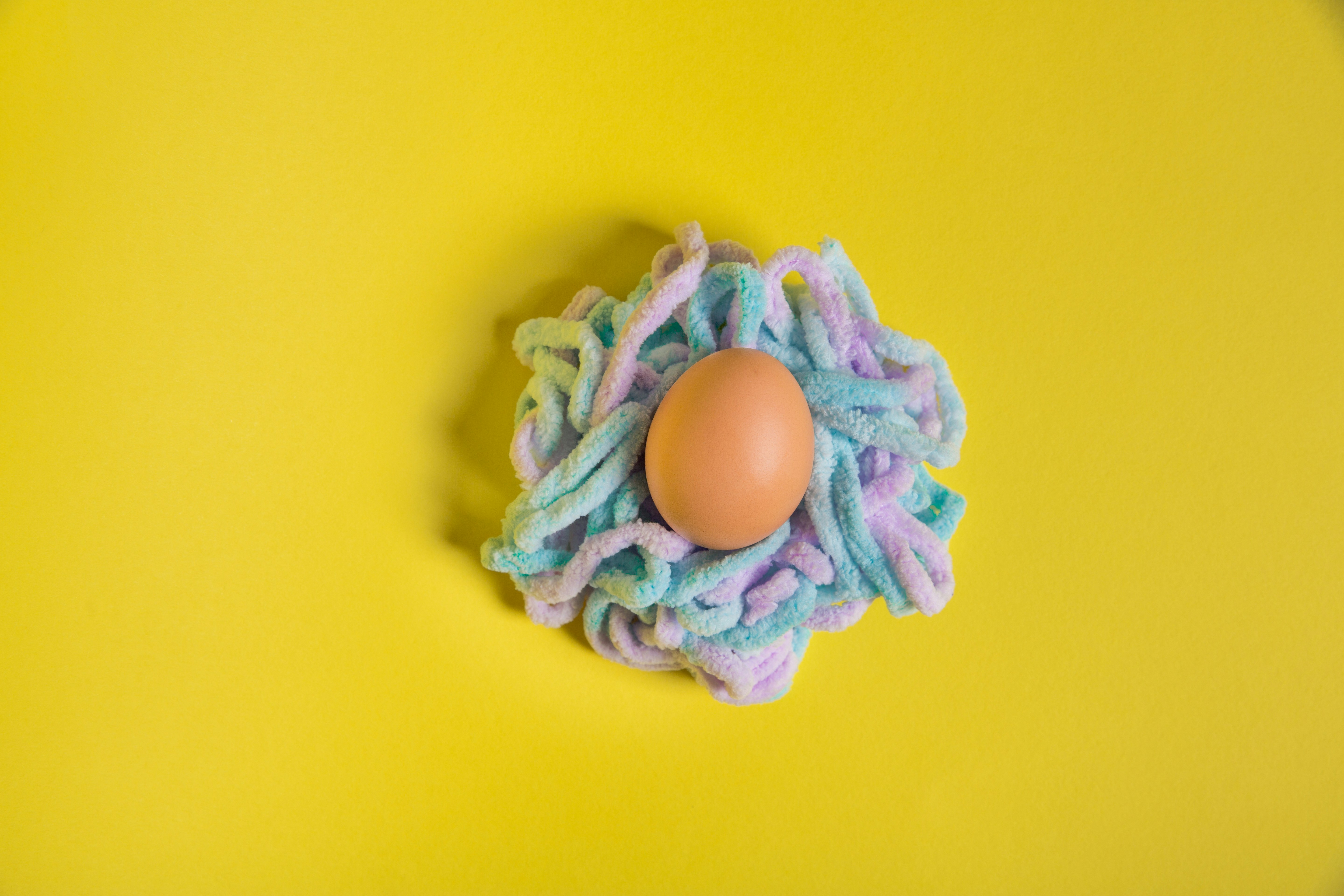 uovo marrone su fiore verde e viola