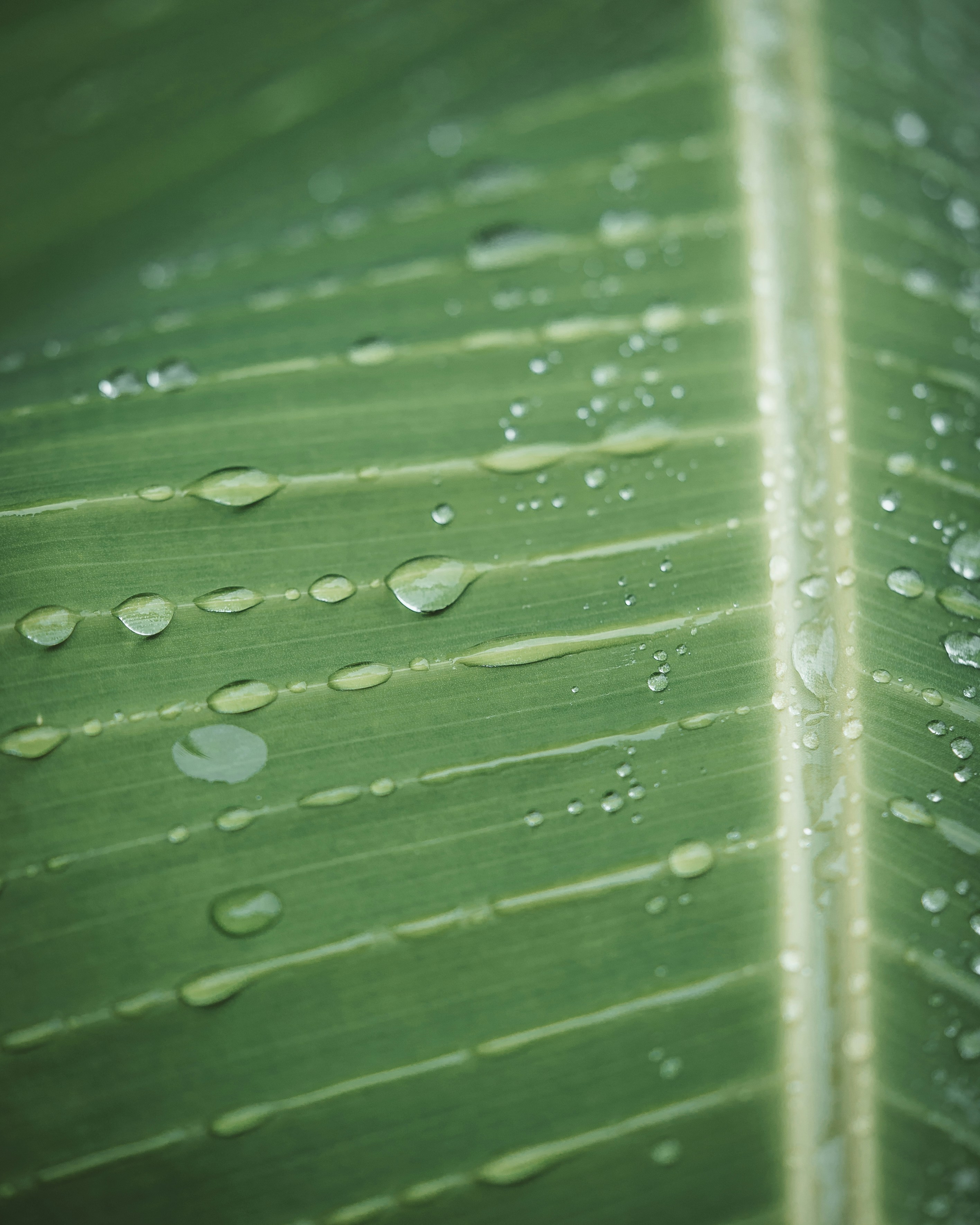 Photo by daniloborges