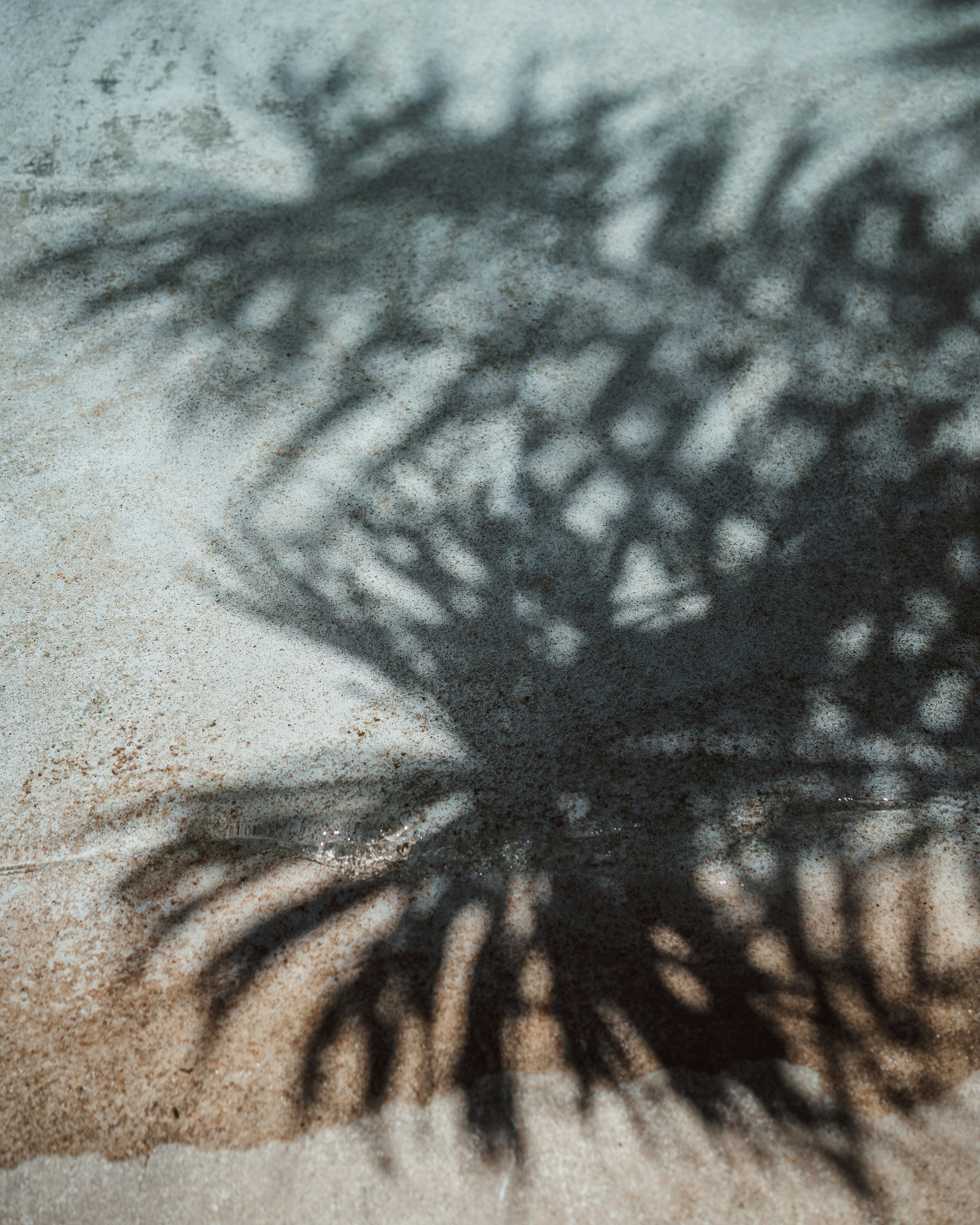 Photo by daniloborges