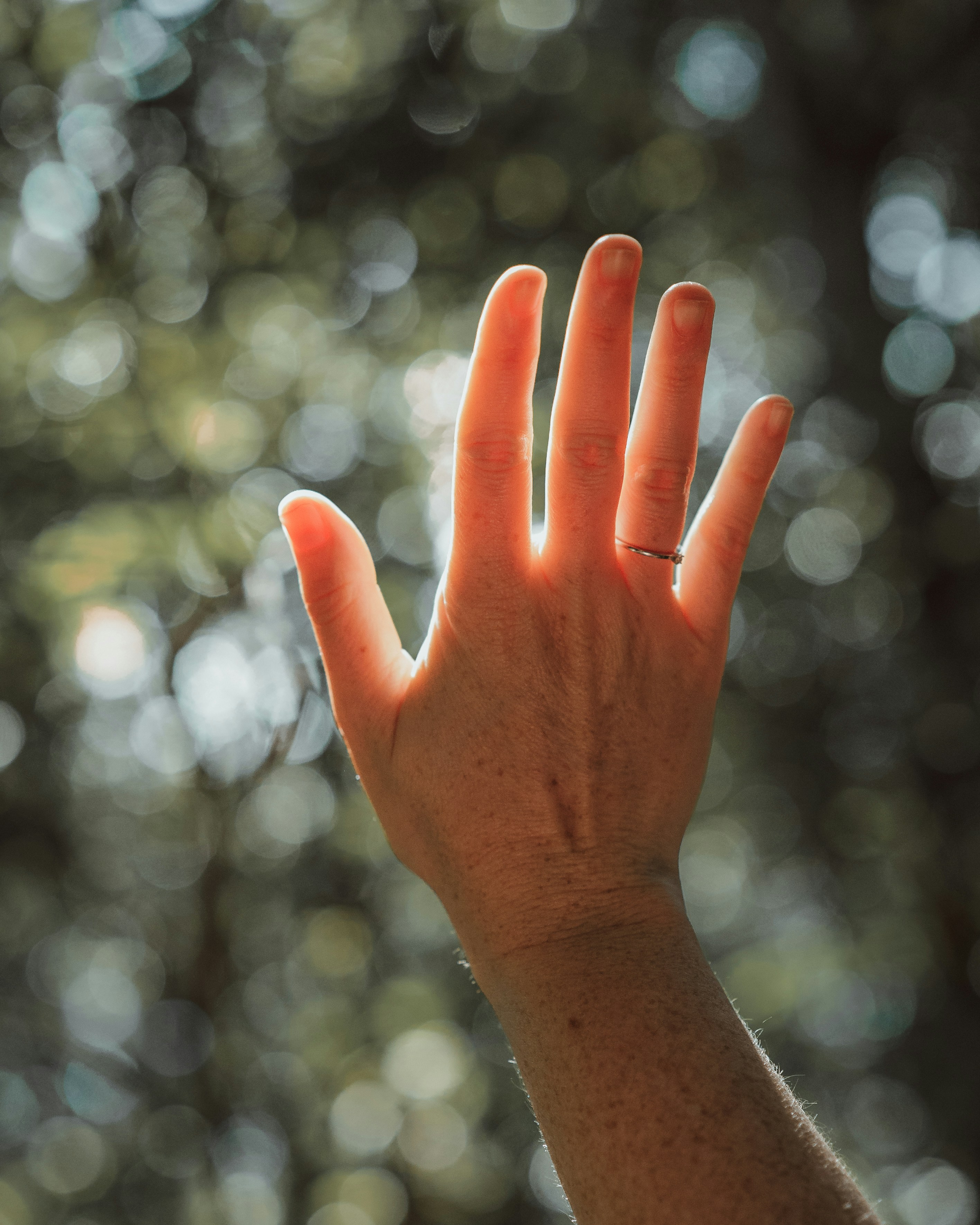 Photo by daniloborges