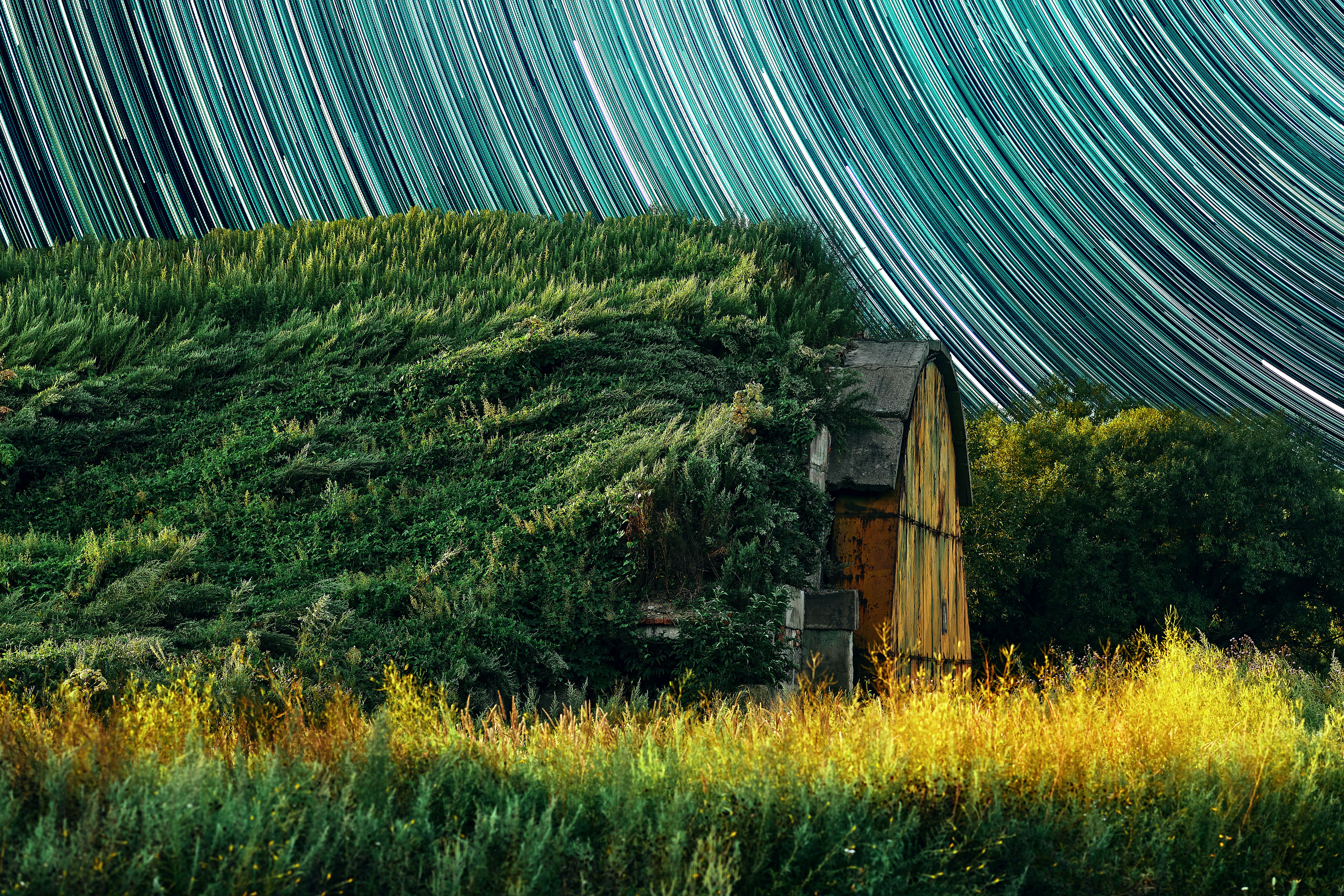 brown wooden house on green grass field