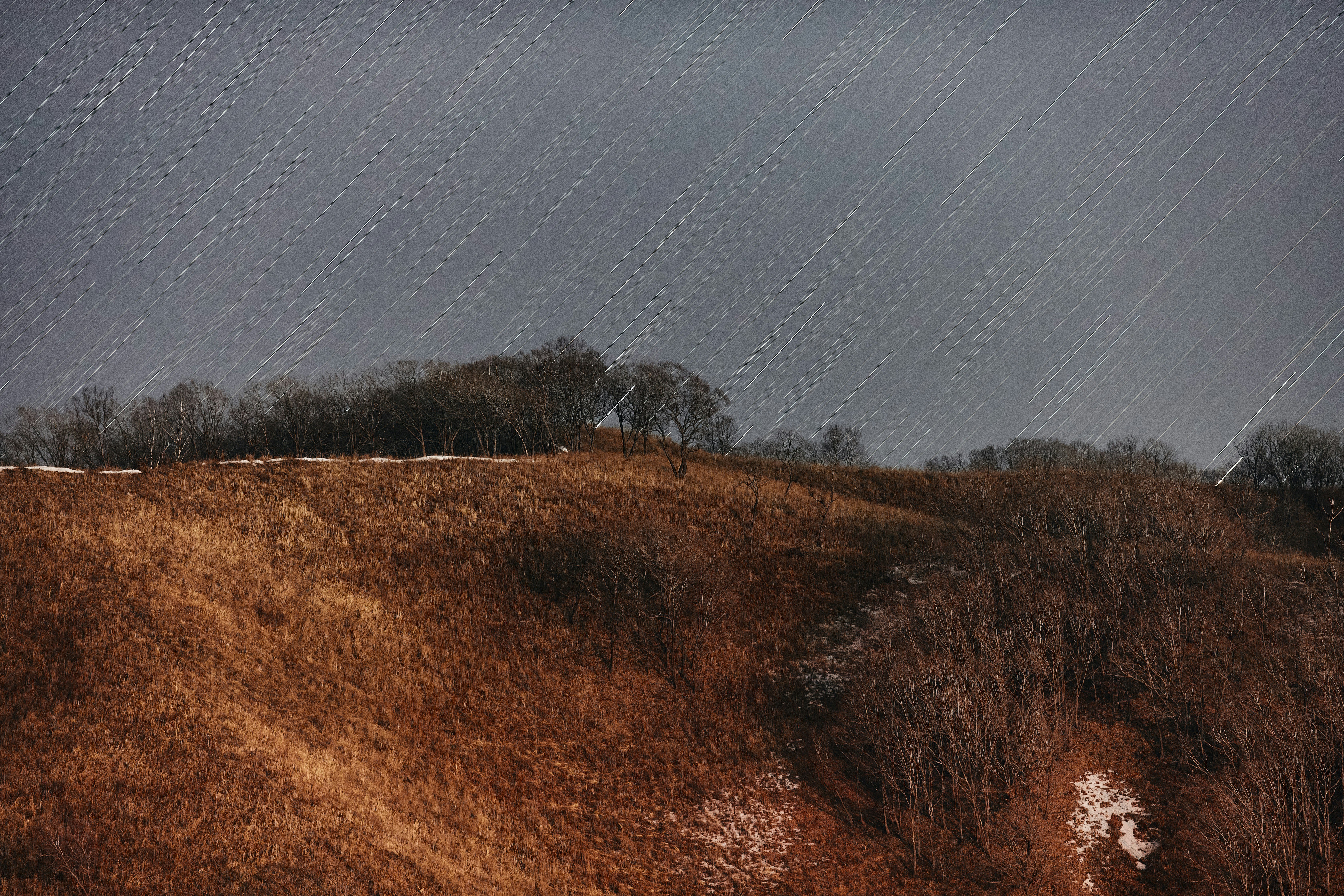 brown grass field under blue sky during daytime