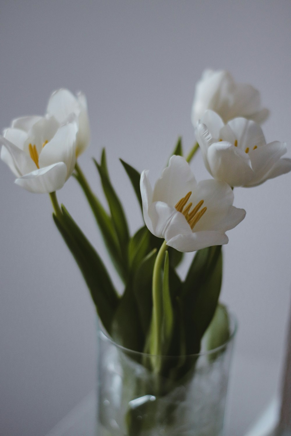 Un jarrón lleno de flores blancas encima de una mesa