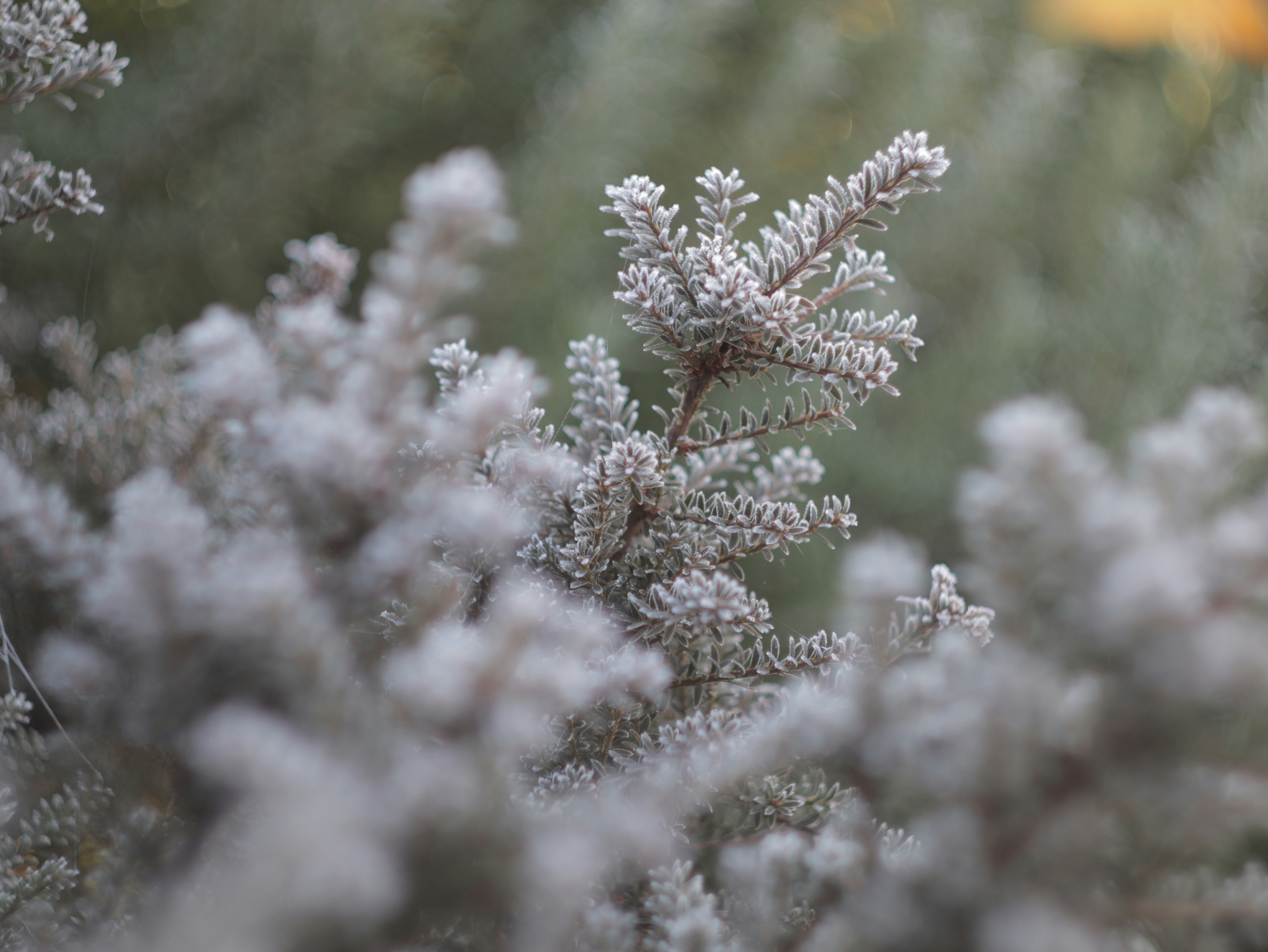 Photo by greg_wyczawski