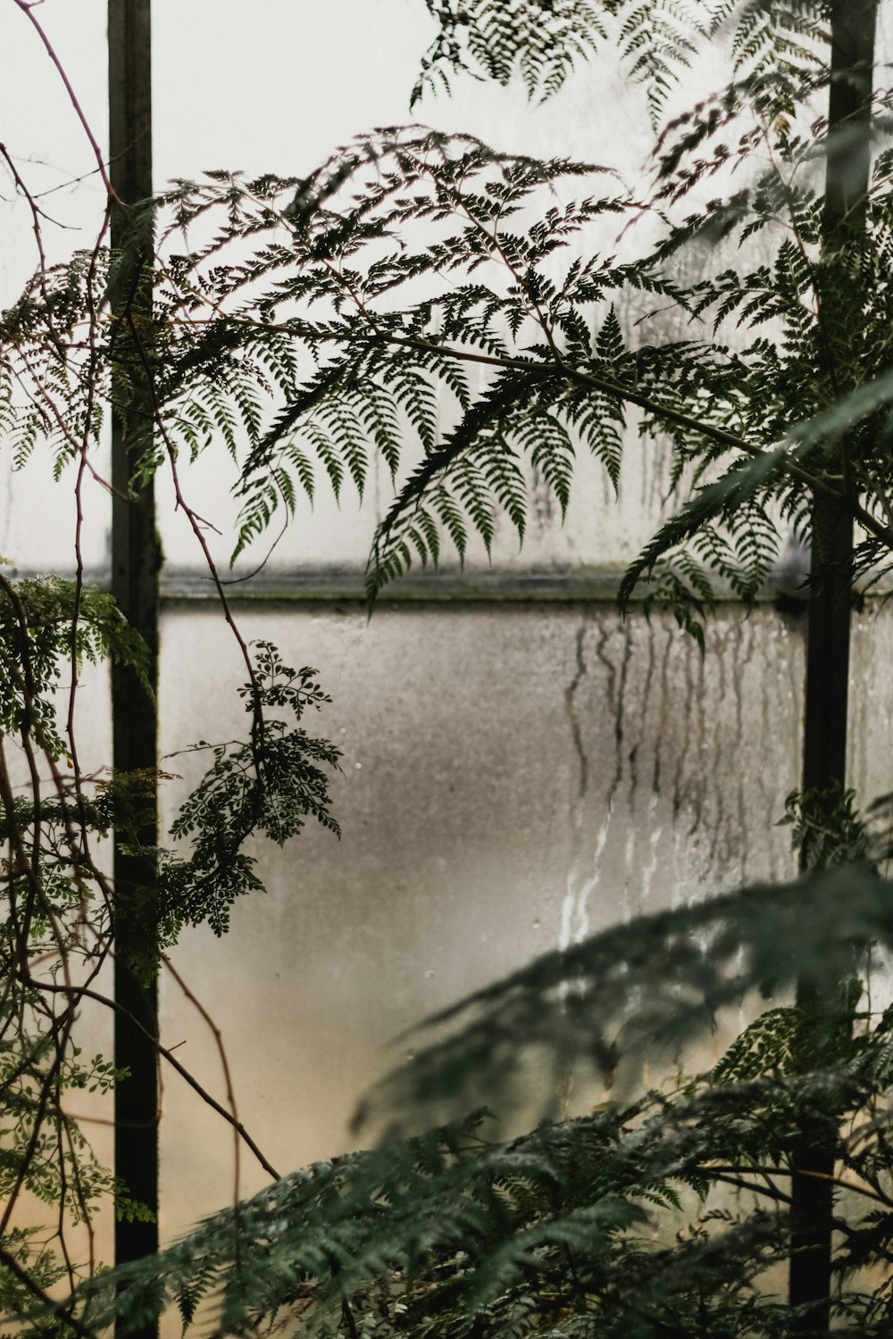 green palm tree near body of water during daytime