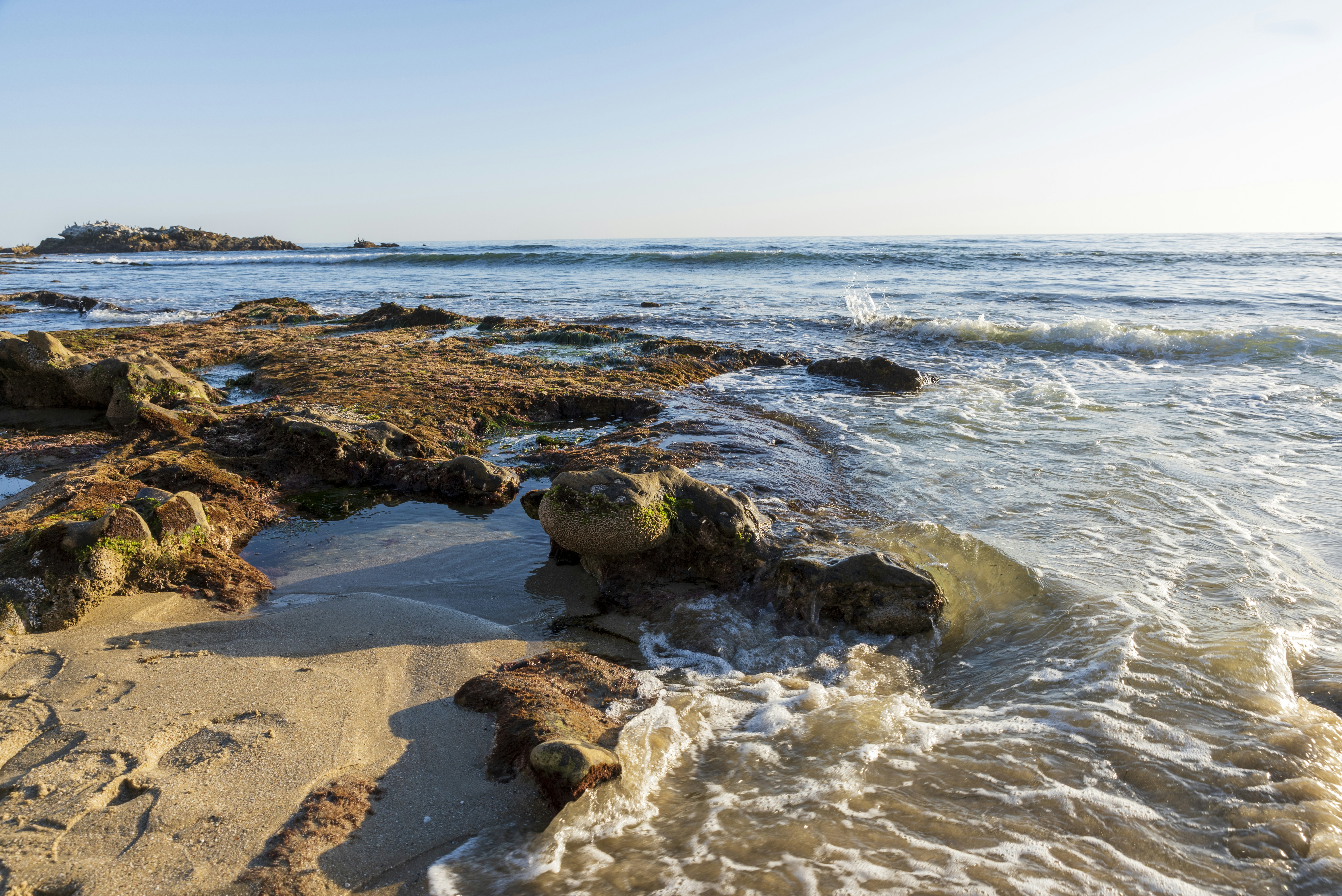 brown rocks on sea shore during daytime