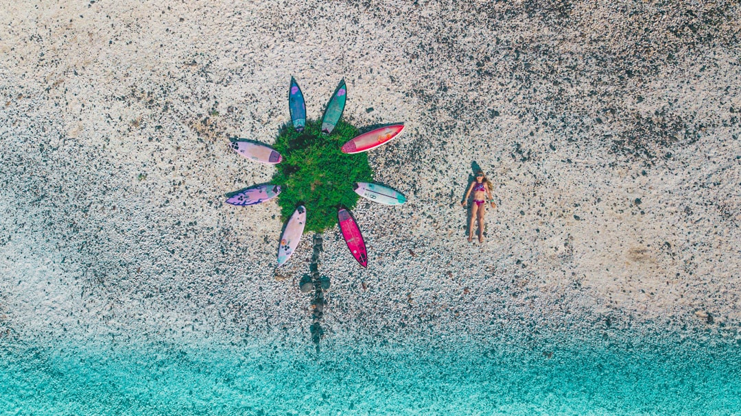 purple flower on gray sand