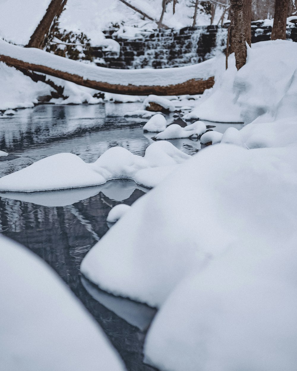 snow covered ground near body of water during daytime