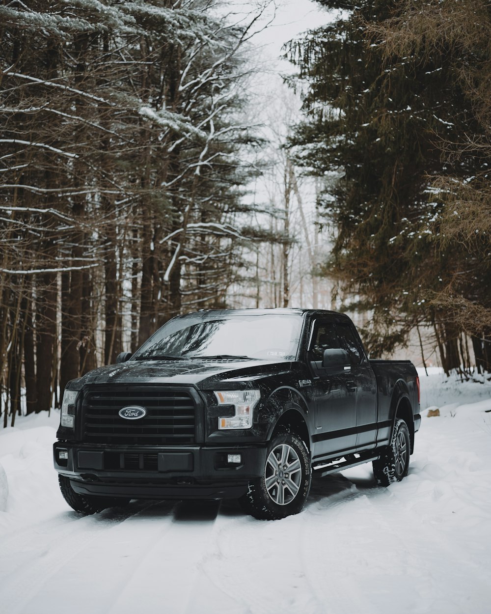 black ford f 150 on snow covered ground