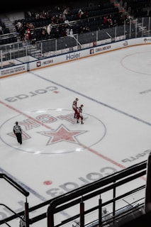 An ice hockey rink features two players in red uniforms celebrating on the rink. A referee is nearby, and there are spectators in the stands. The ice is marked with logos and center lines.
