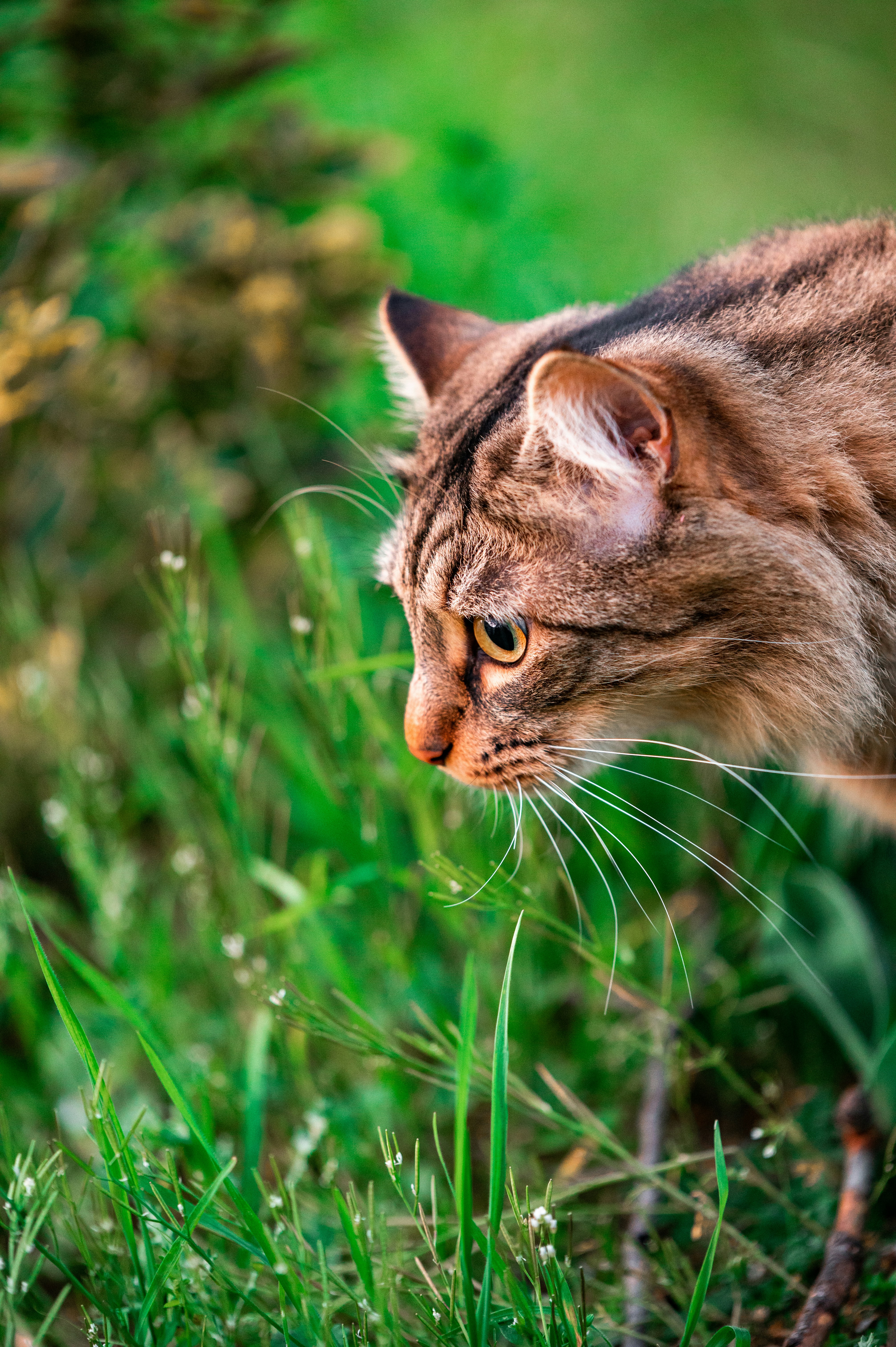 Photo by andreasbrun