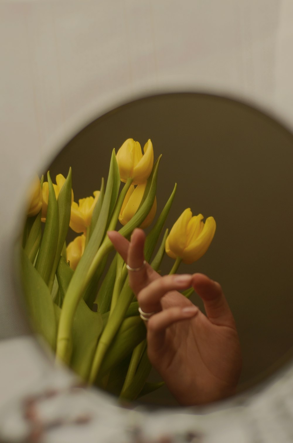 Tulipanes amarillos sobre mesa blanca