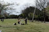 A grassy park area with scattered trees, some without leaves. Several people are enjoying leisure activities, such as talking and sitting on the grass. In the foreground, a few individuals are having a picnic with items like a cooler and bags nearby.
