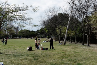 A grassy park area with scattered trees, some without leaves. Several people are enjoying leisure activities, such as talking and sitting on the grass. In the foreground, a few individuals are having a picnic with items like a cooler and bags nearby.