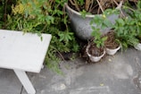 A bright garden corner with pastel-colored pots and a wooden bench surrounded by greenery.