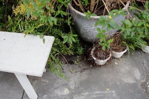 A bright garden corner with pastel-colored pots and a wooden bench surrounded by greenery.