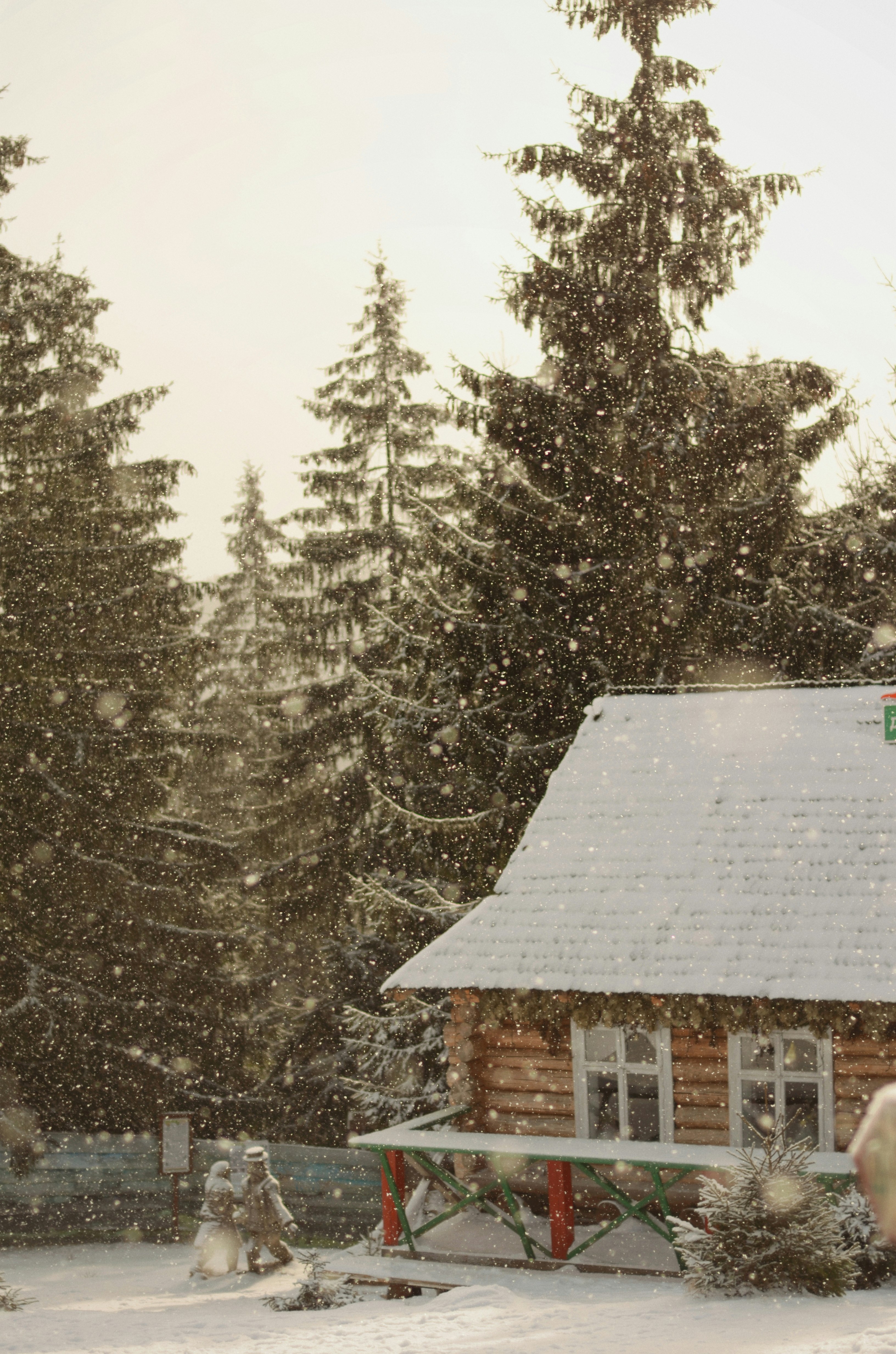 white and brown wooden house near trees during daytime