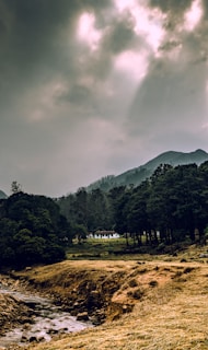 A serene rural landscape with a small white house nestled among tall trees. The foreground features a grassy field with a narrow stream flowing through. In the background, misty mountains rise under a cloudy sky with beams of sunlight breaking through.