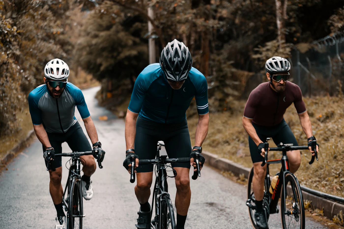 Three cyclists riding together past bare autumn trees