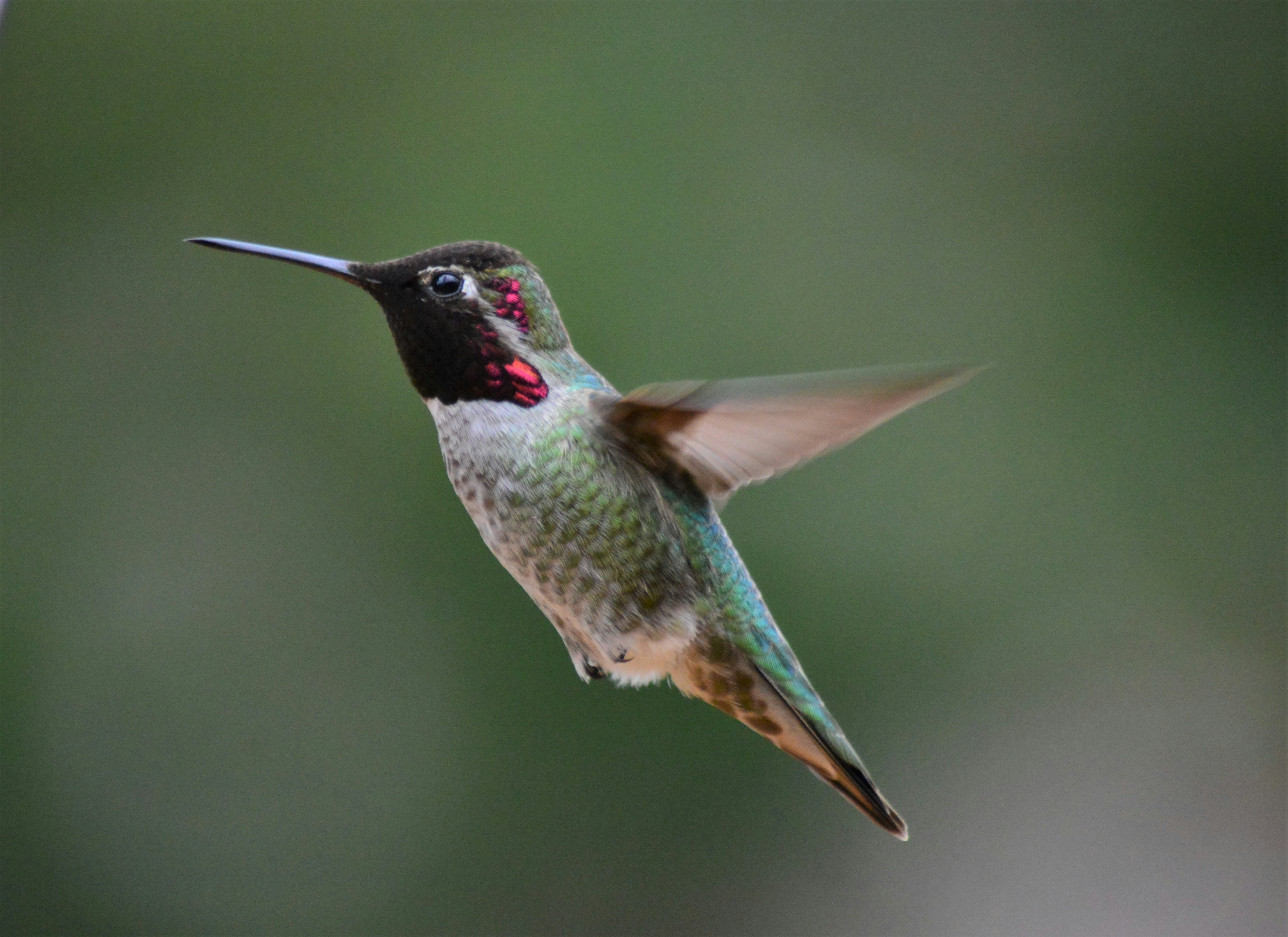 Photo by bryanhanson