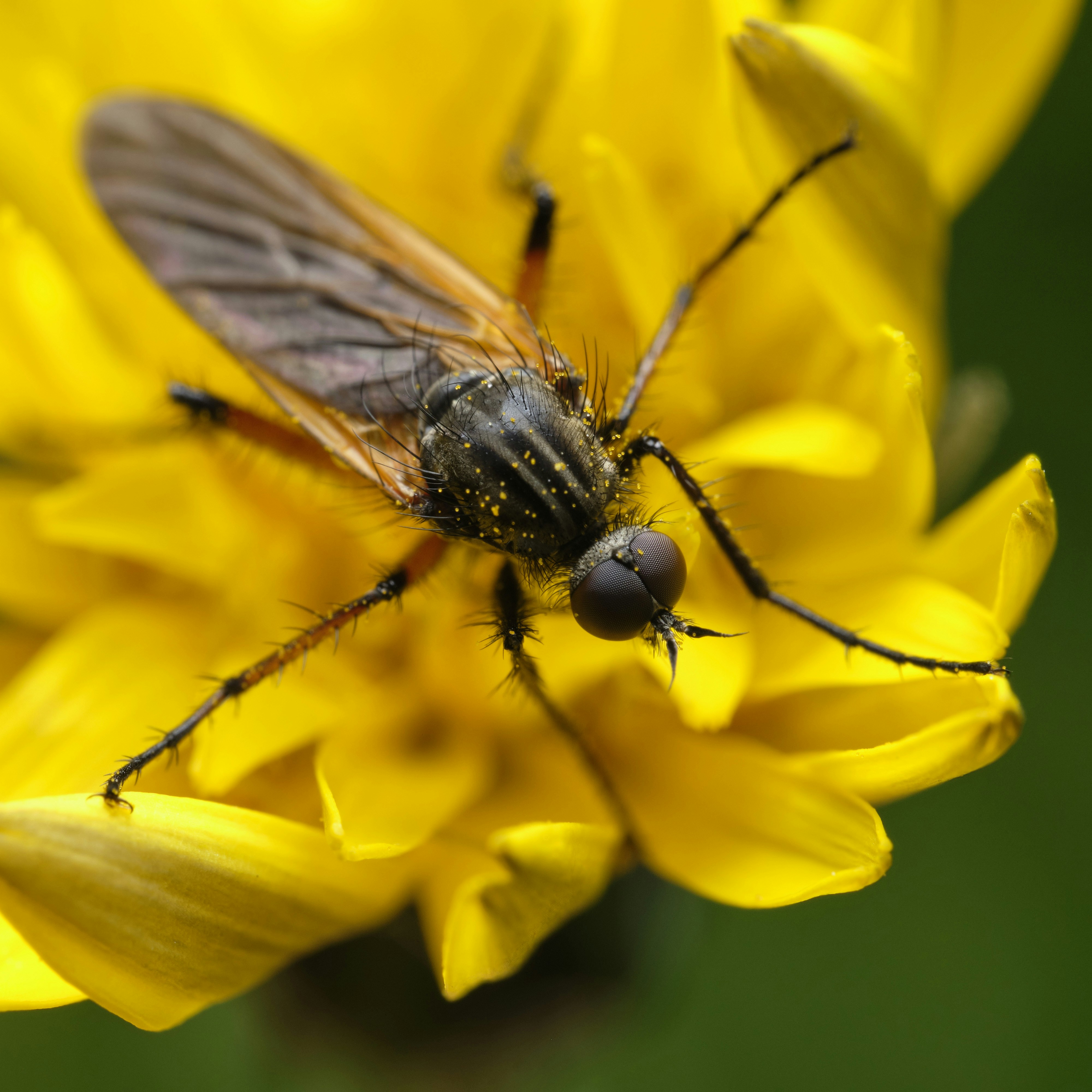 Photo by victor_vector