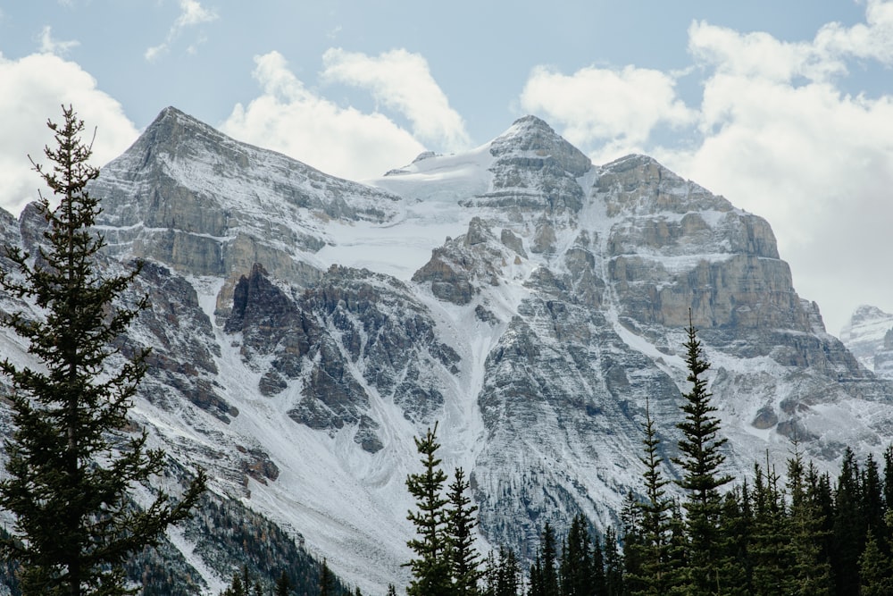 green pine trees near snow covered mountain during daytime