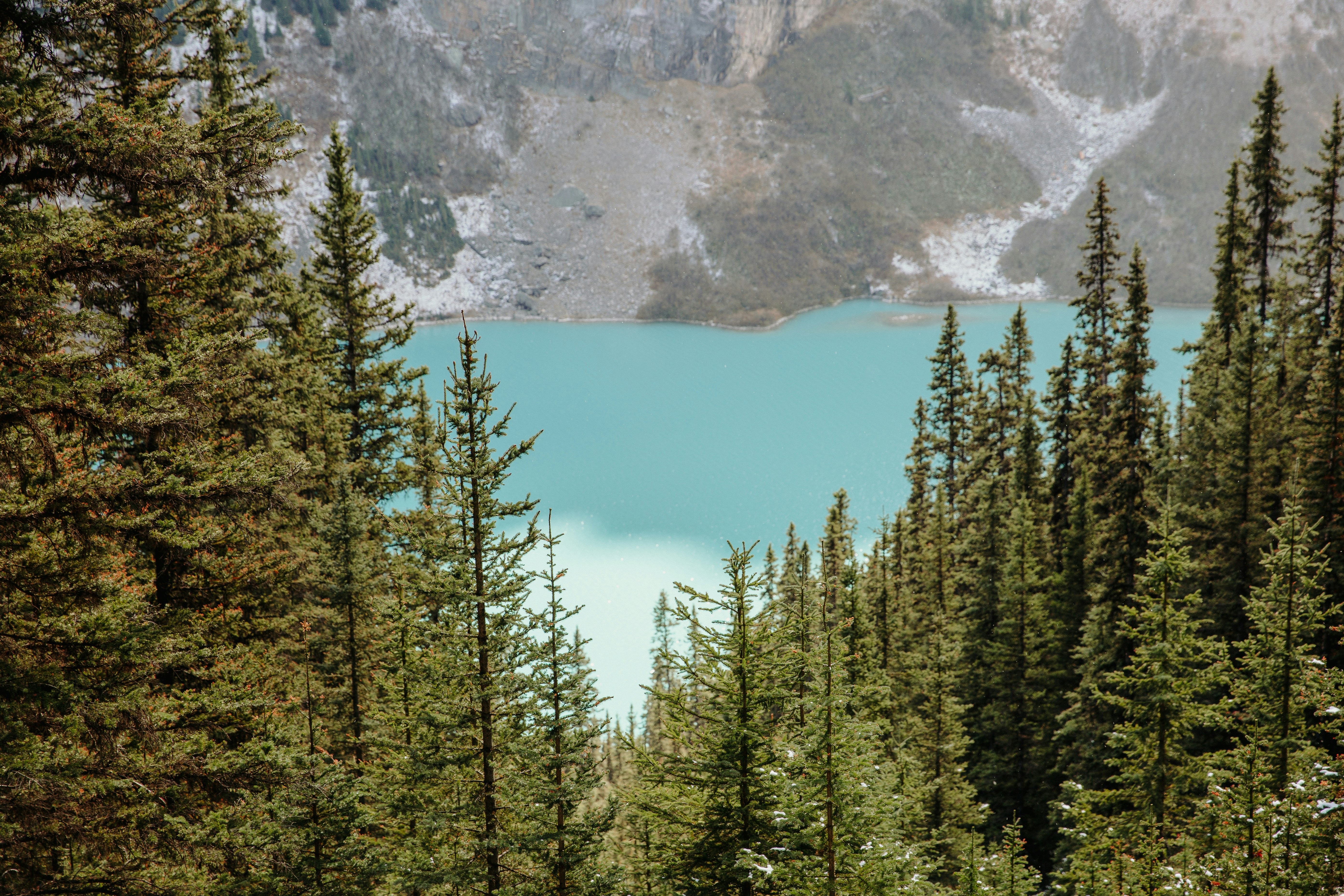 Photo by moriahaslan