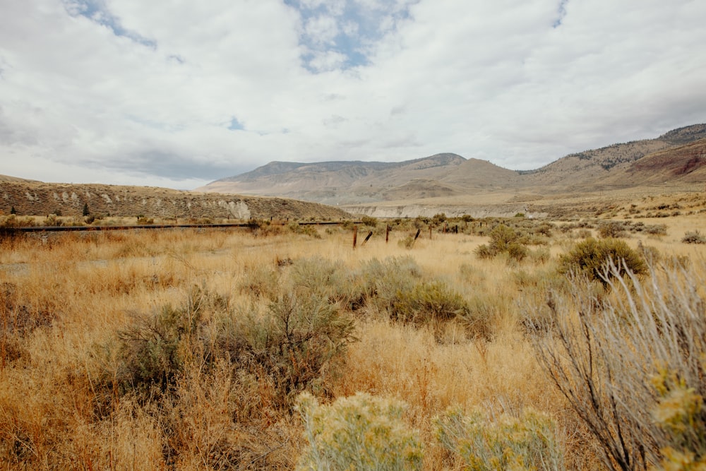 brown grass field near brown mountain under white clouds during daytime