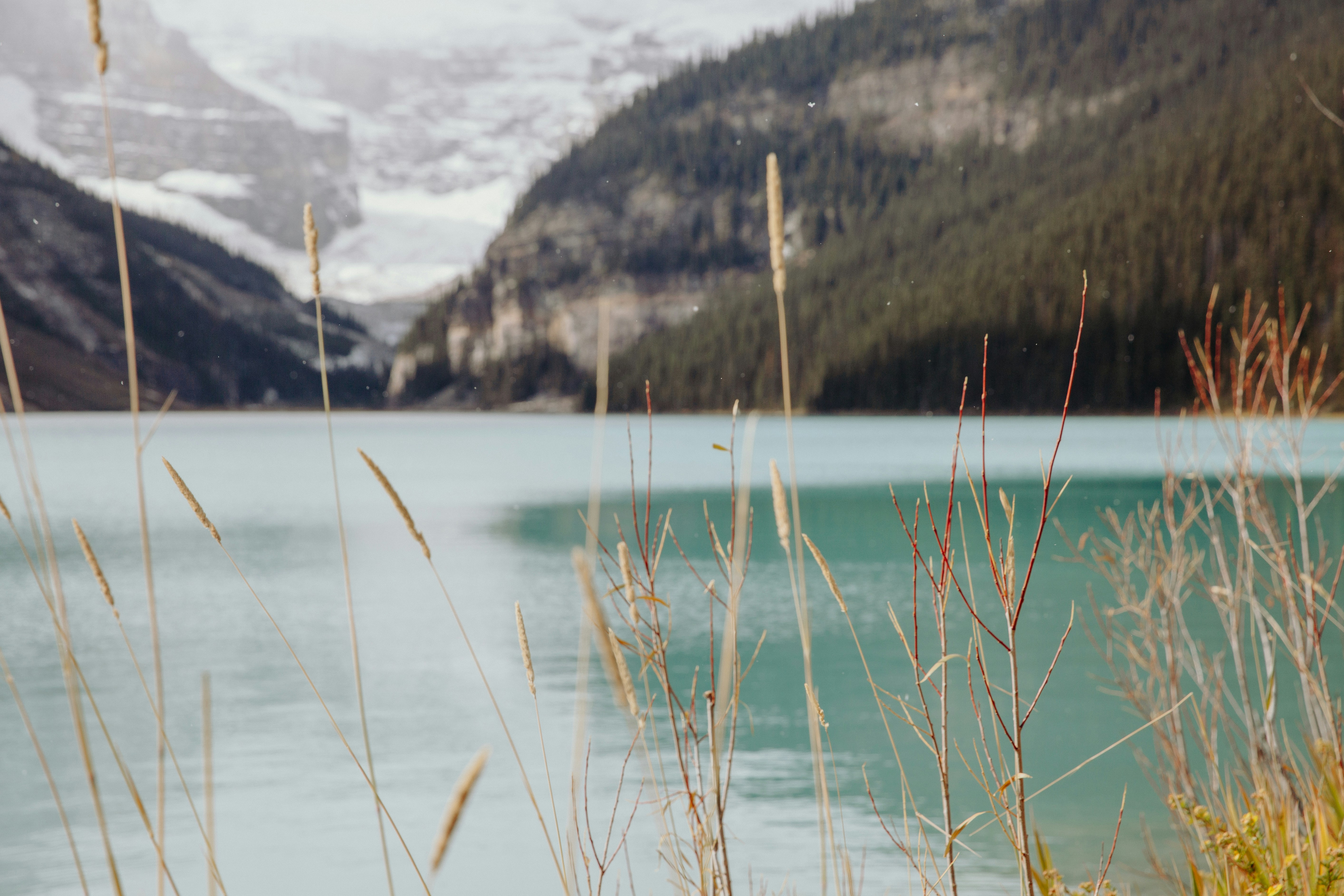 Photo by moriahaslan