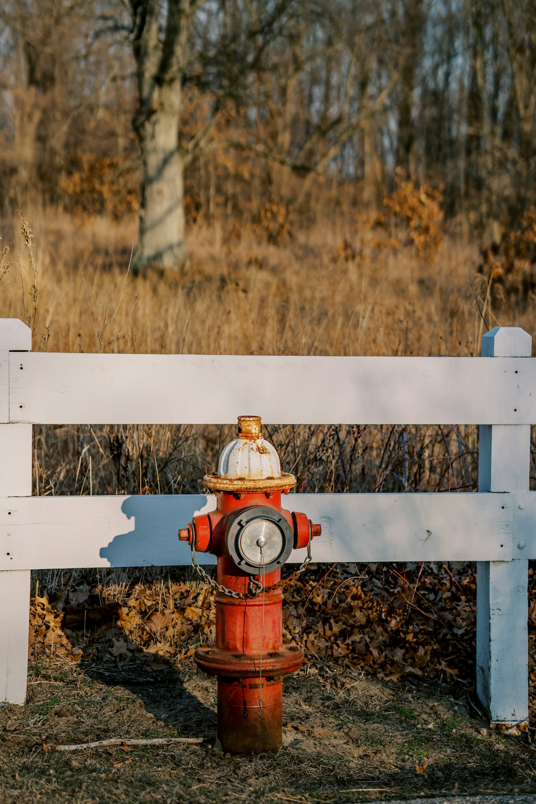 red fire hydrant on brown grass field