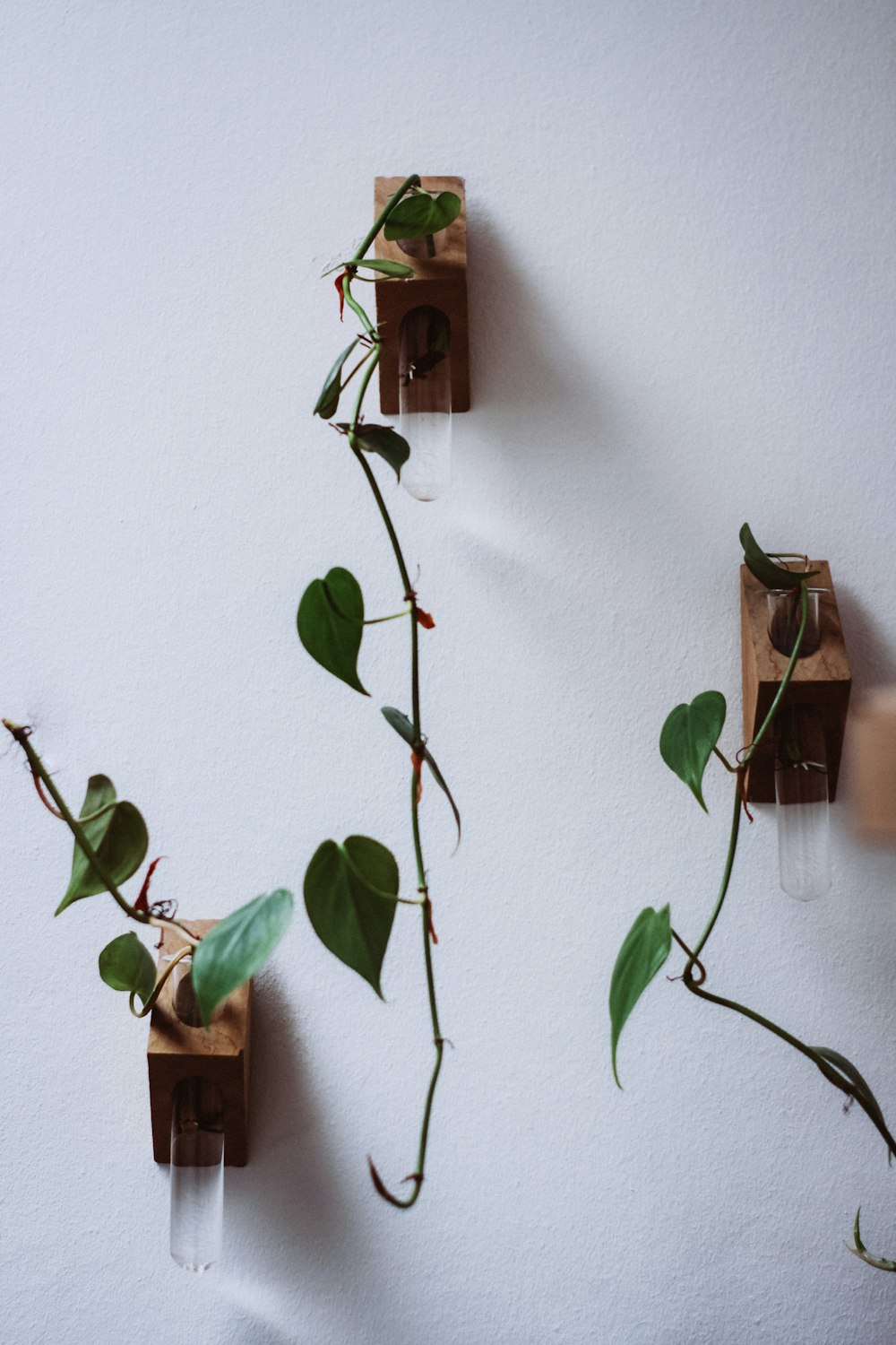 brown wooden bird house on green plant