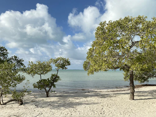 Holbox