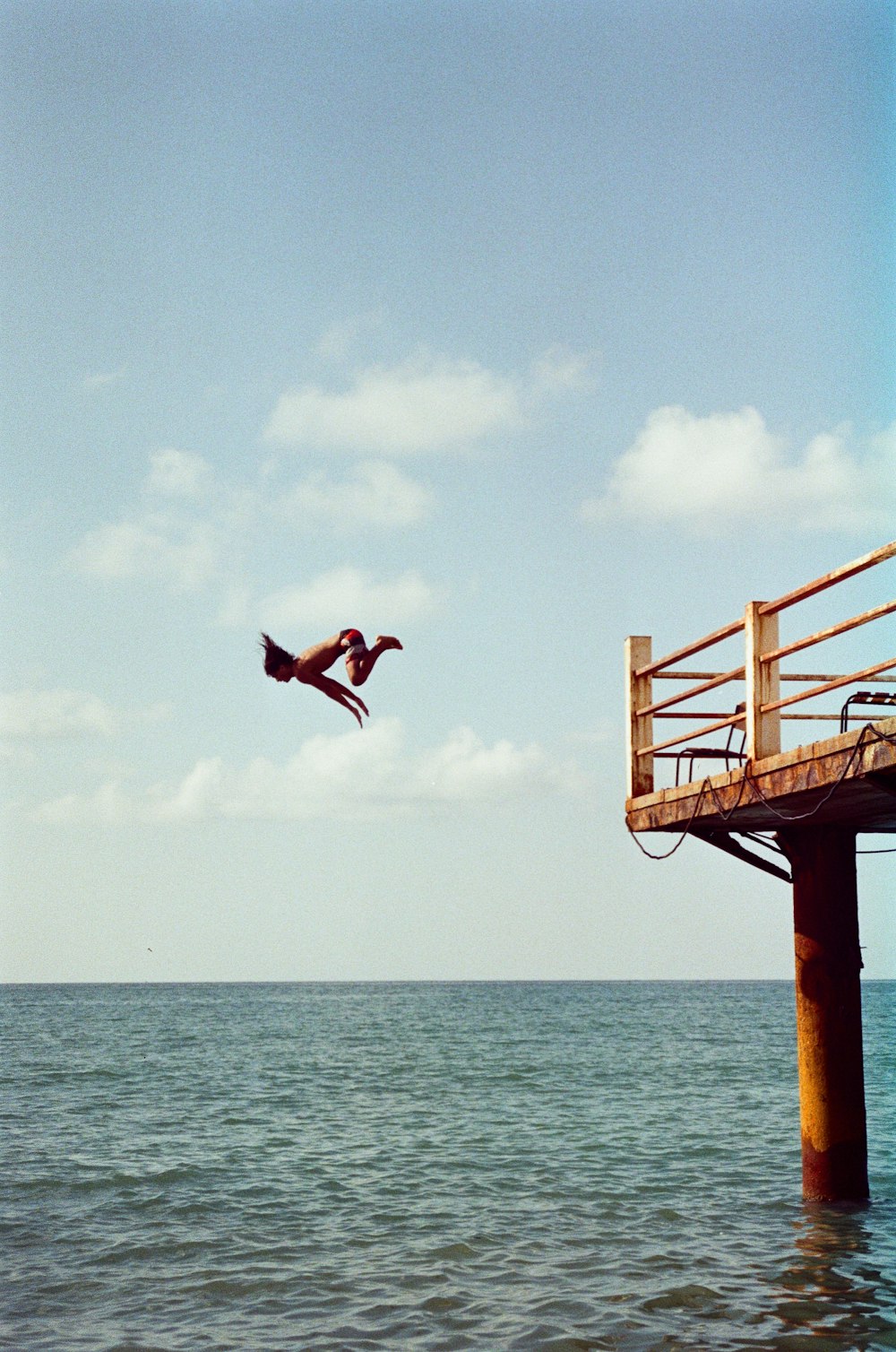 2 birds flying over the sea during daytime