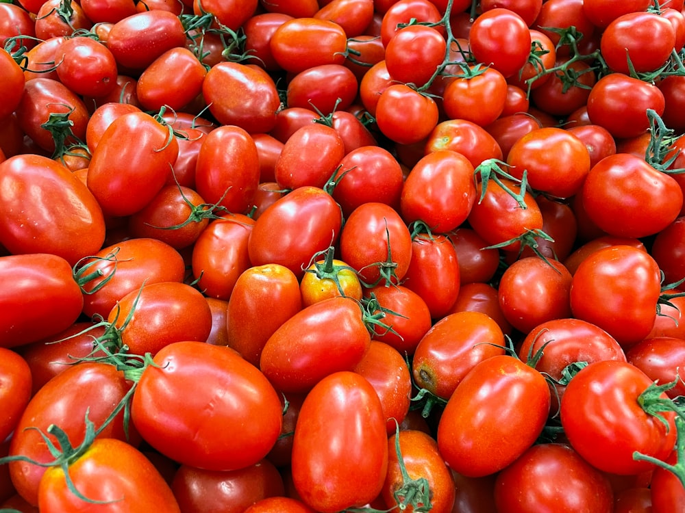 rote und gelbe Tomatenfrüchte