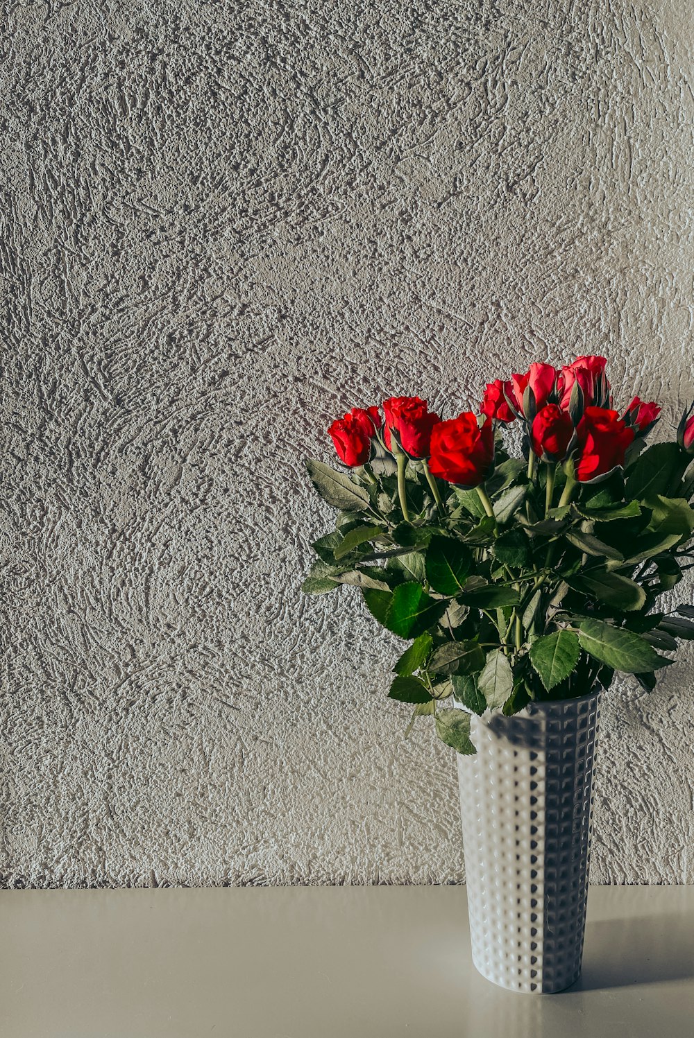 red roses in white ceramic vase