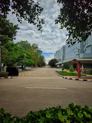 A clean, flat plot near a quiet road with lush trees lining the boundary in Pune.