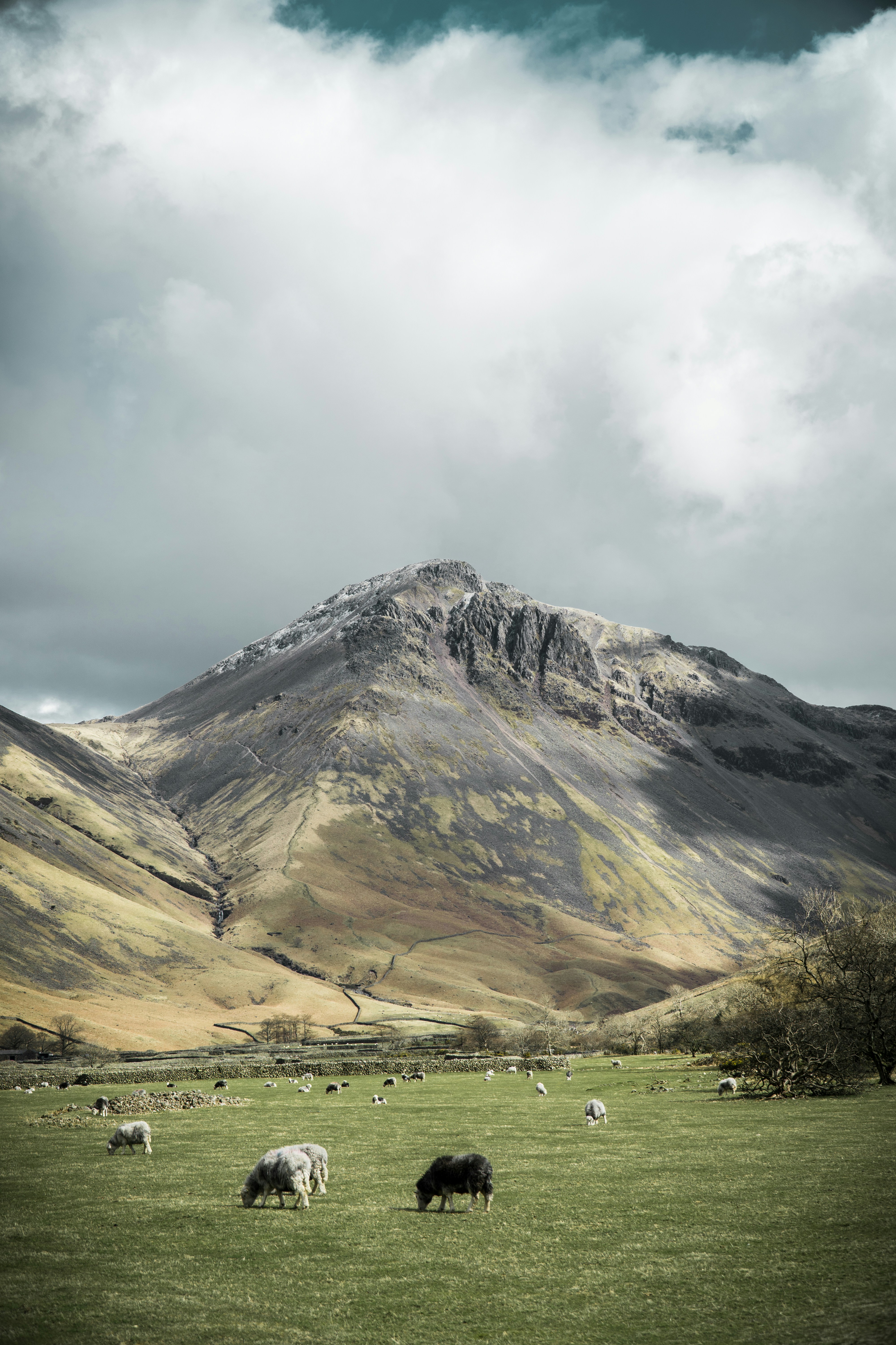 Photo by ismail_fwcr